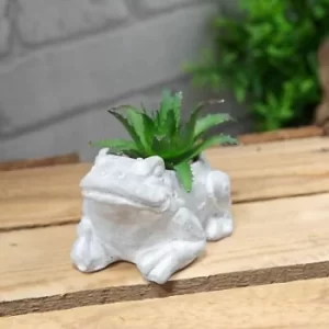 Image of Mini Cement Frog Planter with Succulent