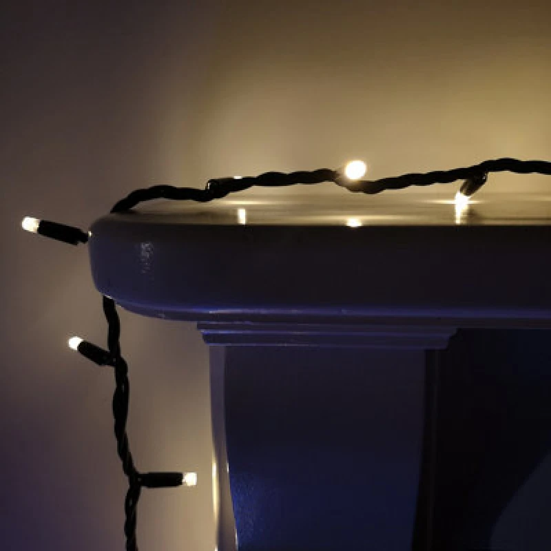 Image of Samuel Alexander 100 LED 8M Premier Christmas Connectable Outdoor Static Lights In Warm White