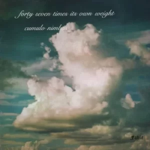 Image of Cumulo Nimbus by Forty Seven Times Its Own Weight CD Album
