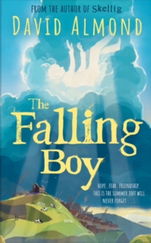 Image of The Falling Boy Paperback / softback
