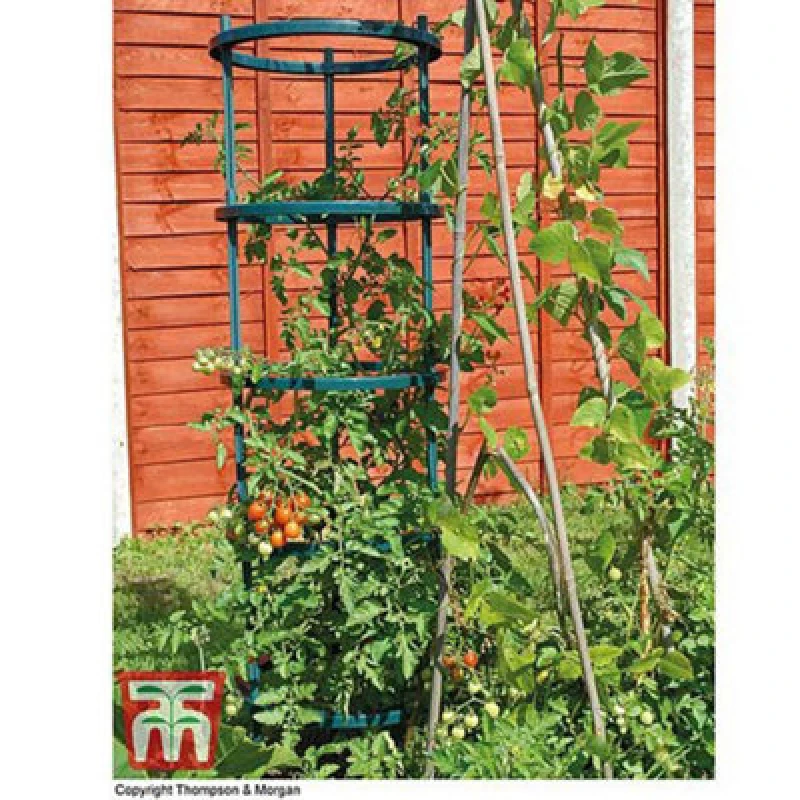 Image of Garden Gear Tomato Growing Supports Plant Frame X3