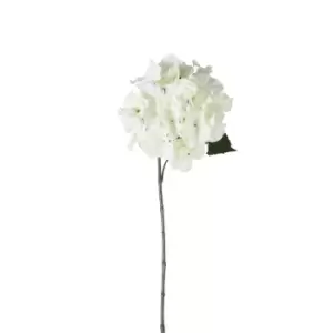 Image of Crossland Grove Hydrangea Stem White (6Pk) 720Mm