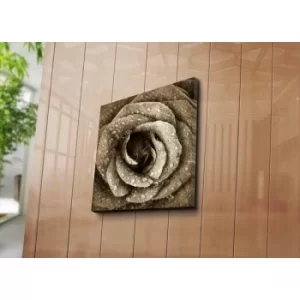 Image of 4545C-91 Multicolor Decorative Canvas Painting