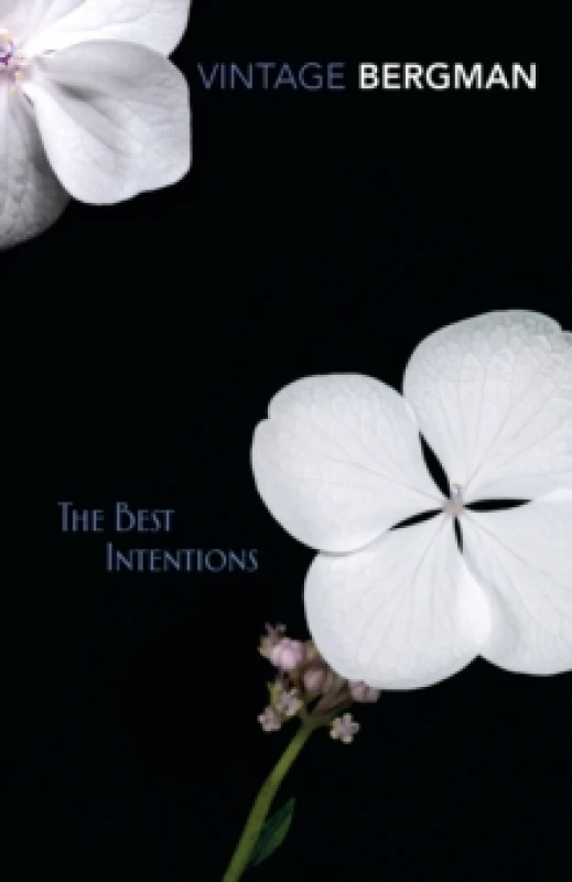 Image of The Best Intentions Paperback / softback