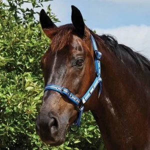 Image of Roma Coordinating Headcollar - Grey/Blue/Grey