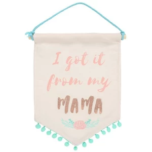 Image of I Got it from my Mama Flag