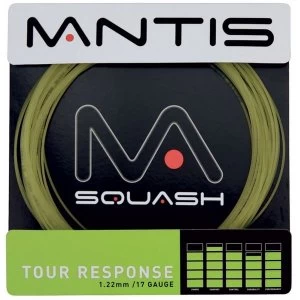 Image of MANTIS Tour Response 17G String Set 10m Black