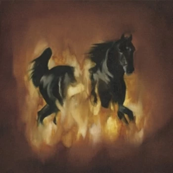 Image of Besnard Lakes - The Besnard Lakes Are The Dark Horse CD