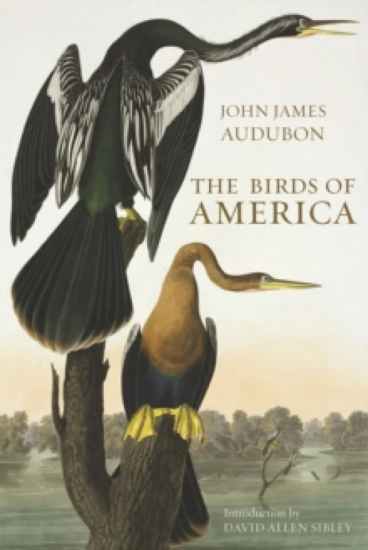 Image of The Birds of America Hardback