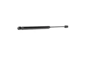 Image of RIDEX Tailgate strut 219G0702 Gas spring, boot- / cargo area,Boot struts SKODA,ROOMSTER (5J),ROOMSTER Praktik (5J)