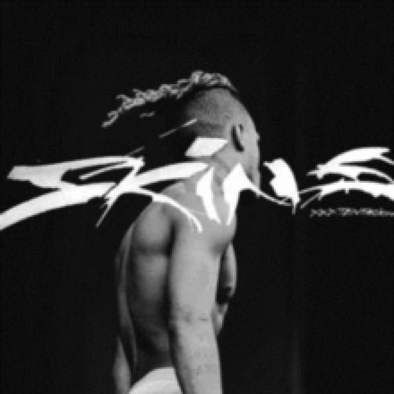 Image of XXXTentacion Skins (Vinyl) 12 Album