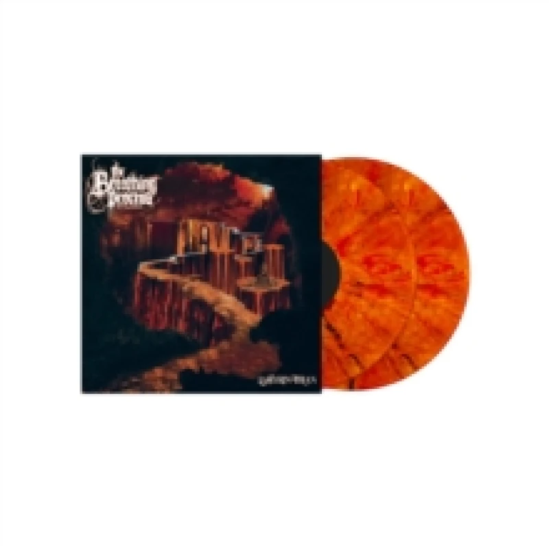 Image of Labyrinthian Vinyl