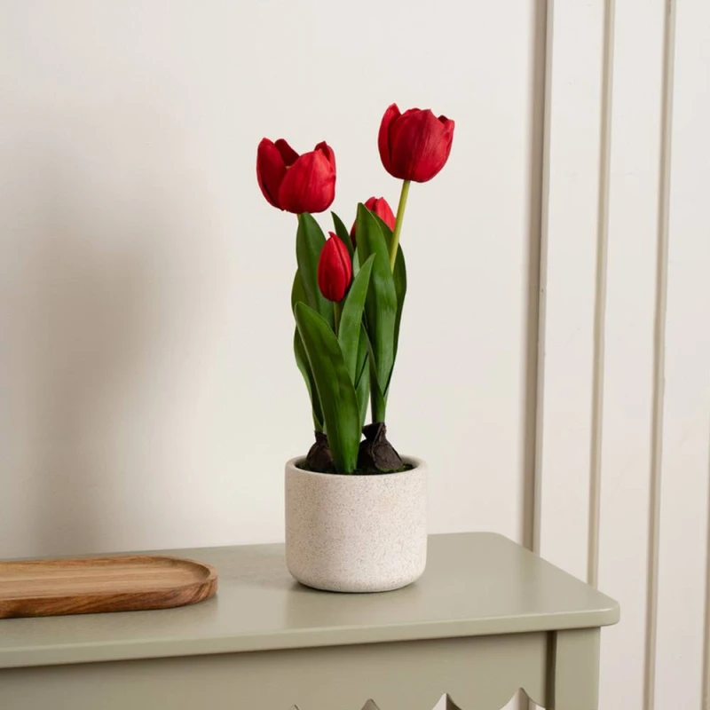 Image of Scottish Everlastings Ltd 36cm Red Tulips in Cement Pot Red Unisex