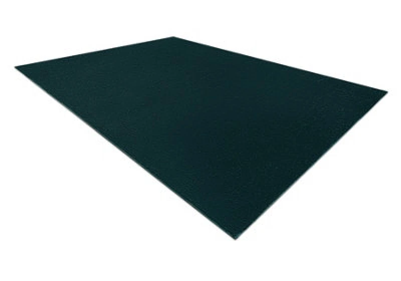 Image of RugsX Modern Washing Carpet Lindo Emerald Green, Anti-Slip, Shaggy 80X150 Cm