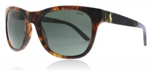Image of Polo Ralph Lauren PH4091 Sunglasses Jerry Havana 550371 55mm