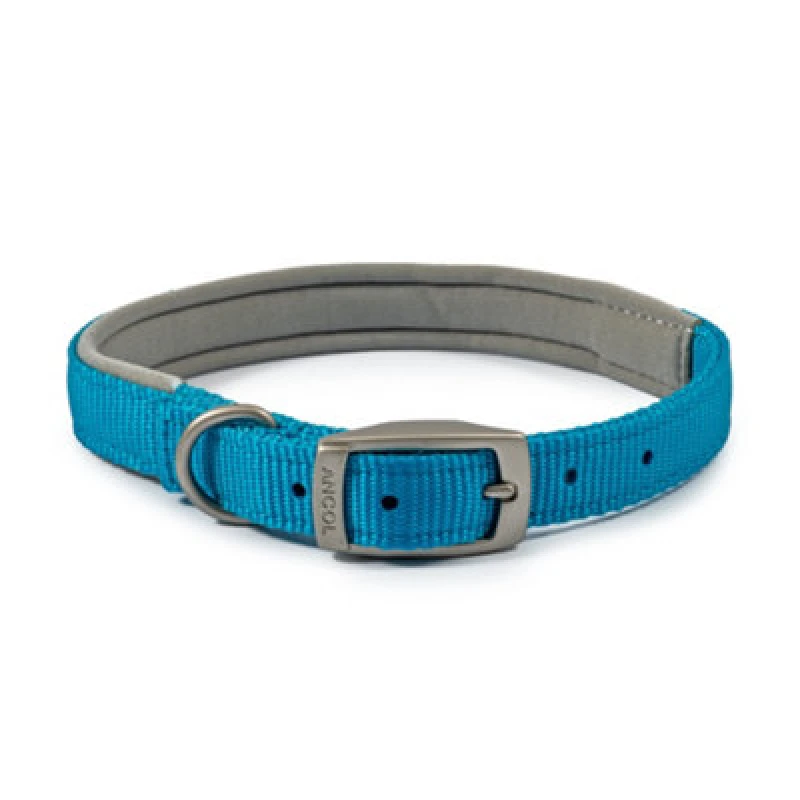 Image of Ancol Viva Weather Proof Padded Collar Blue