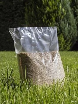 Image of Fast Grass Seed Mix Multi Purpose Lawn Seed 1Kg
