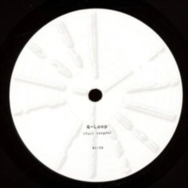 Image of Q-Loop Vinyl