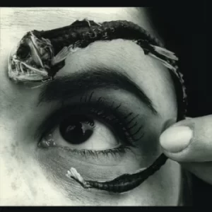 Image of Disco Volante by Mr. Bungle Vinyl Album