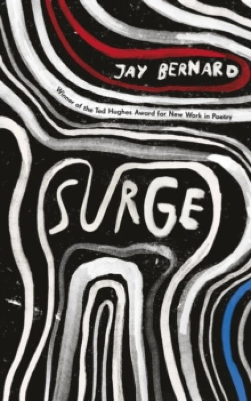 Image of Surge Paperback / softback