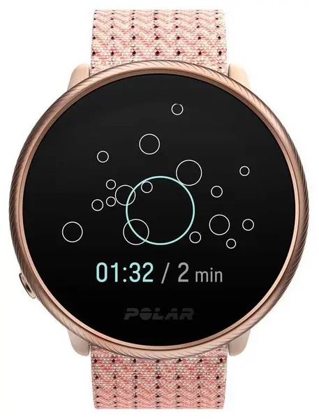 Image of Polar 90085186 Ignite 2 GPS Activity and HR Tracker Rose Watch