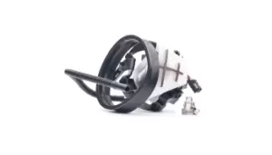 Image of RIDEX Fuel Pump BMW 458F13737 16141183176,16141183216,16146752368