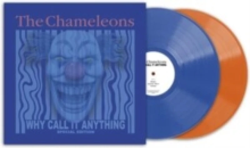 Image of What Does Anything Mean? Basically Vinyl