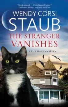 Image of The Stranger Vanishes