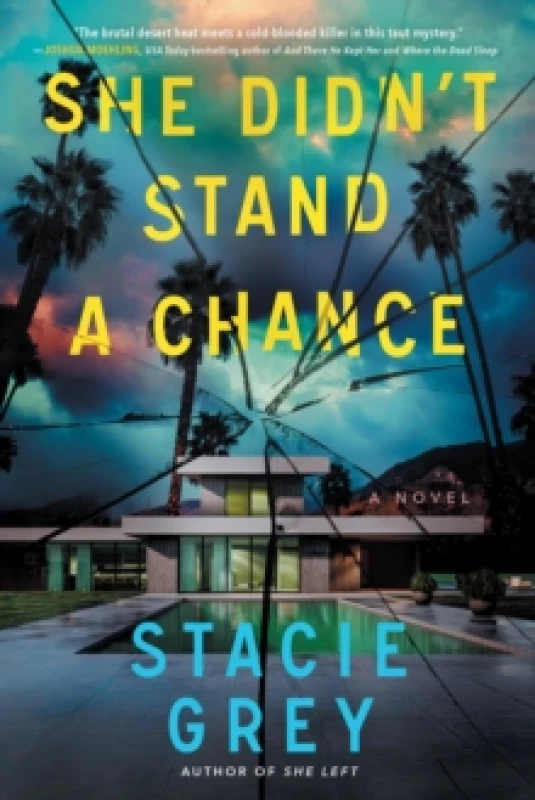 Image of She Didn't Stand a Chance : A Novel Paperback / softback