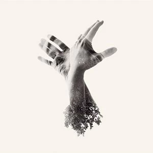 Image of Last Dinosaur - The Nothing Vinyl