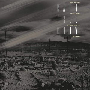 Image of Rain Tree Crow - Rain Tree Crow Vinyl
