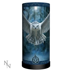 Image of Awaken Your Magic Owl Lamp UK Plug