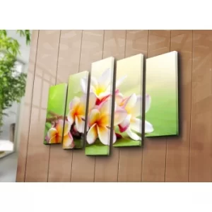 Image of 5PATK-30 Multicolor Decorative Canvas Painting (5 Pieces)