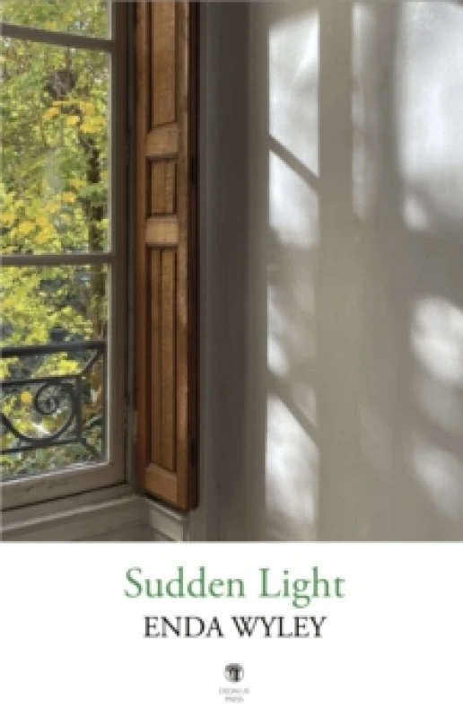 Image of Sudden Light Paperback / softback
