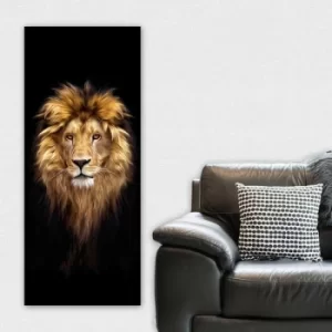 Image of DKY4353413202_50120 Multicolor Decorative Canvas Painting