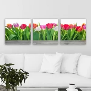 Image of P418687 Multicolor Decorative Canvas Painting (3 Pieces)