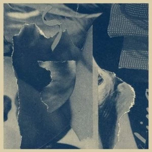 Image of Distant Companion Vinyl