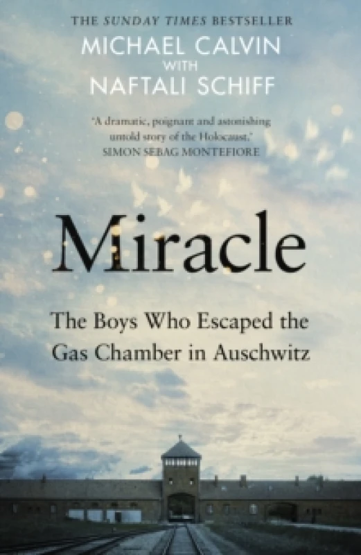 Image of Miracle. Hardback. By Mike Calvin, Naftali Schiff Books