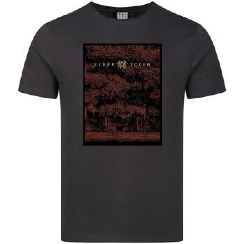 Image of Amplified Mens Flamingo Sleep Token T-Shirt in Charcoal Size: XS Charcoal Male XS