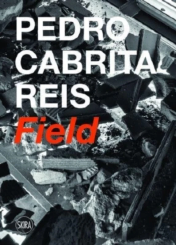 Image of Pedro Cabrita Reis : Field Paperback / softback