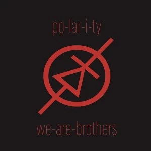 Image of Po-lar-i-ty - We are brothers Vinyl