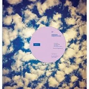 Image of Immersion - Living On An Island Vinyl