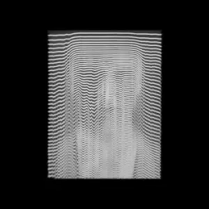 Image of Ride the Flow DJ Hell Remix by Namito & DJQ aka Quinta Young Vinyl Album