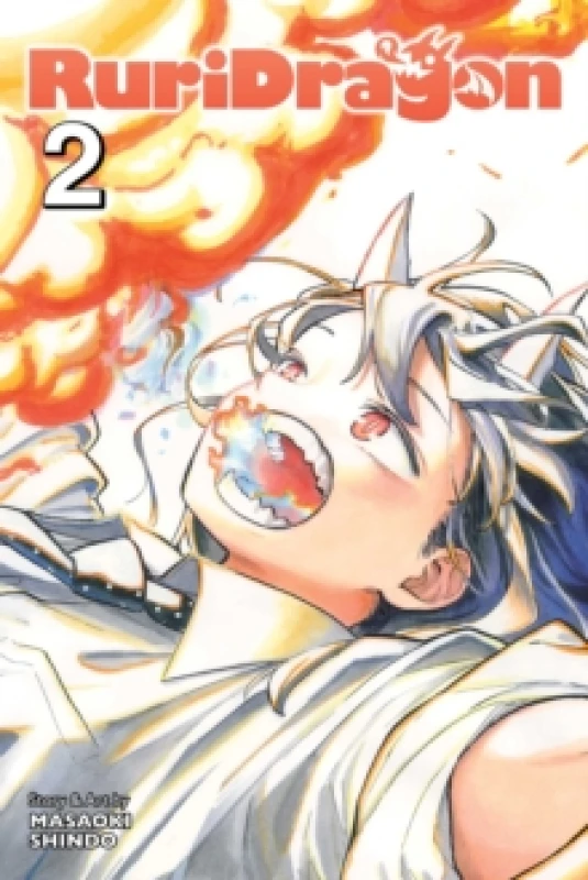 Image of RuriDragon, Vol. 2 Paperback / softback