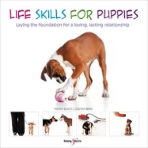 Image of life skills for puppies laying the foundation for a loving lasting relatio