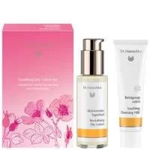 Image of Dr. Hauschka Christmas 2021 Soothing Day Lotion Set