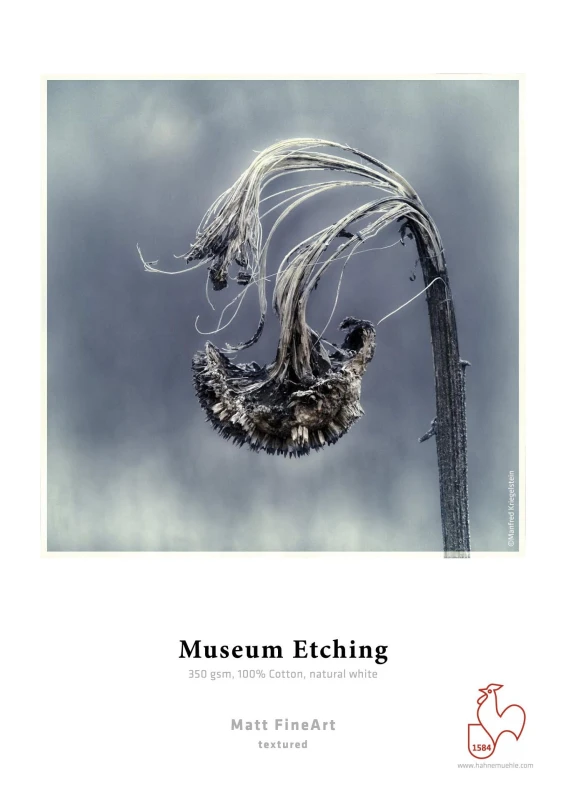 Image of Back to the Office Hahnemuhle Museum Etching Art paper 25 sheets 10641648