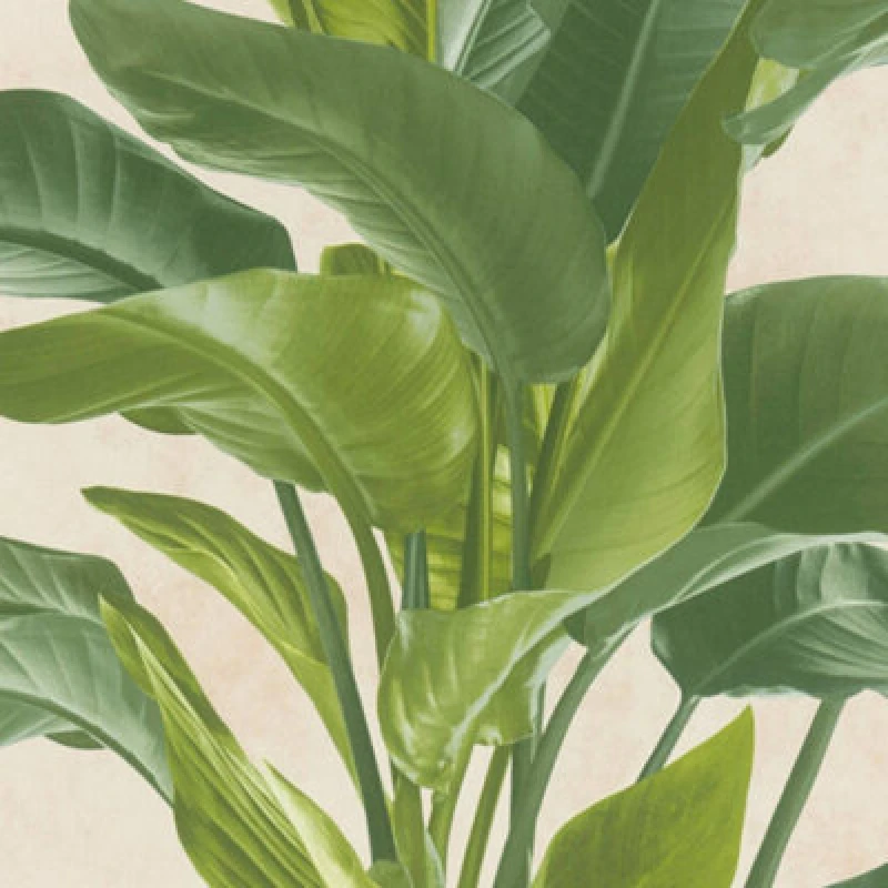 Image of A.S. Creation Botanical Garden Plant Leaf Leaves Trail Vinyl Cream Green Wallpaper Cream