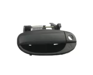 Image of RIDEX Door Handle Left Front 1373D0140 DAEWOO,KALOS (KLAS),KALOS Stufenheck (KLAS)