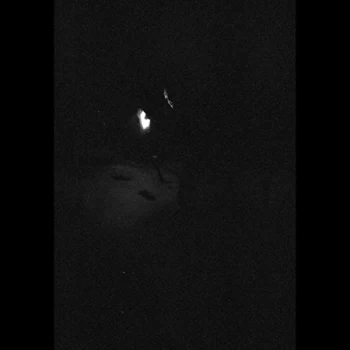 Image of Paysage D'Hiver - Nacht Vinyl